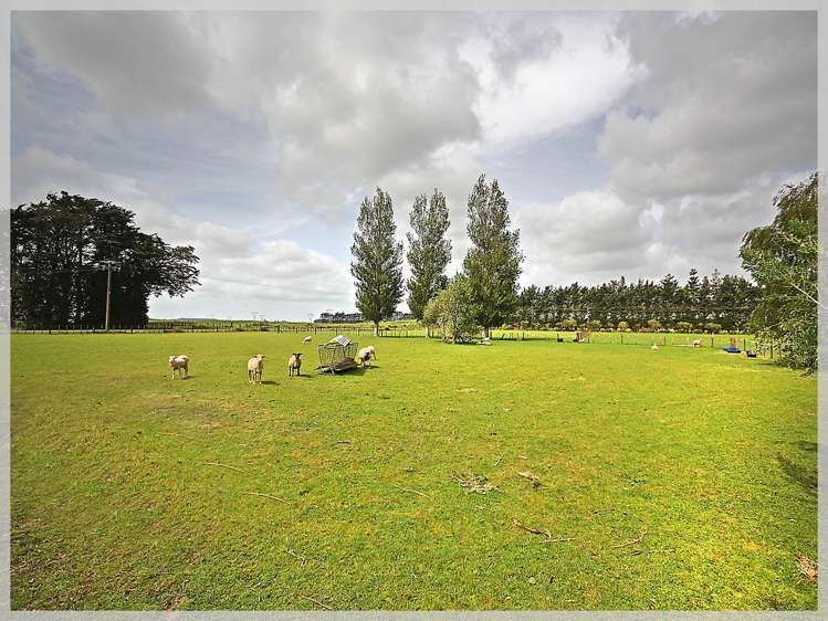 296 Motuiti Road Foxton_8