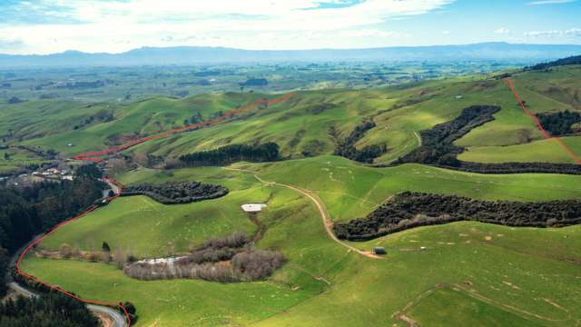 613 Waterworks Road Morrinsville_2