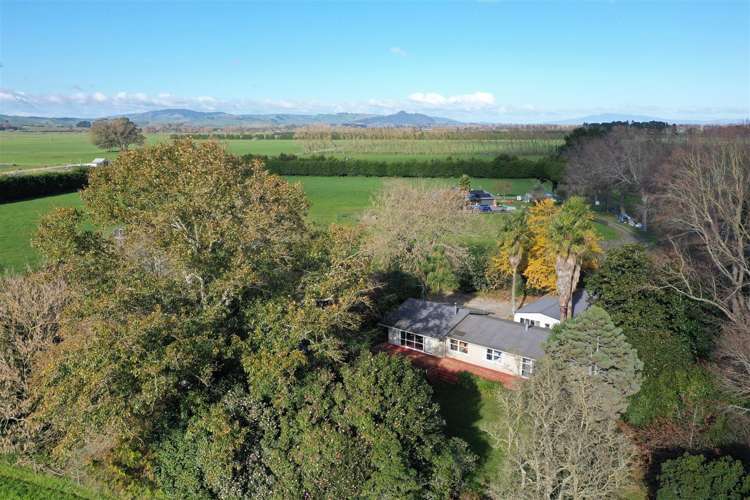 588 Holland Road Eureka_29