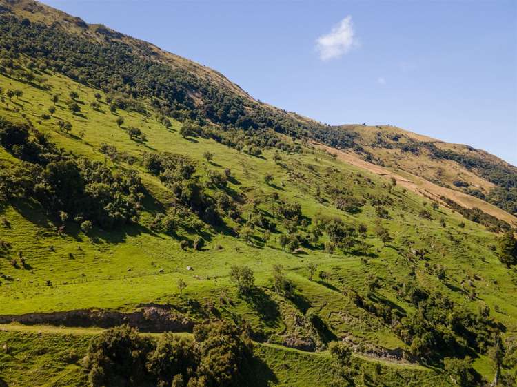 1178 Puhi Puhi Road Puhi Puhi_16