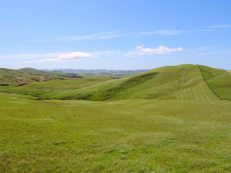 1530 Waihi Valley Road Pongaroa_23