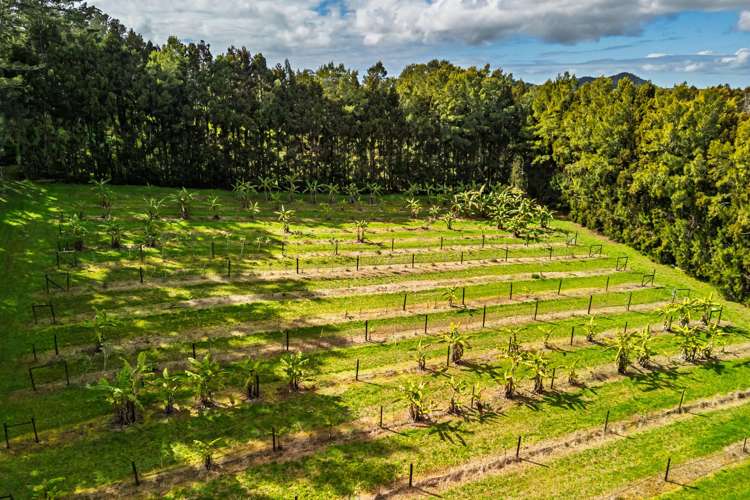 1244A State Highway 10 Kerikeri_12