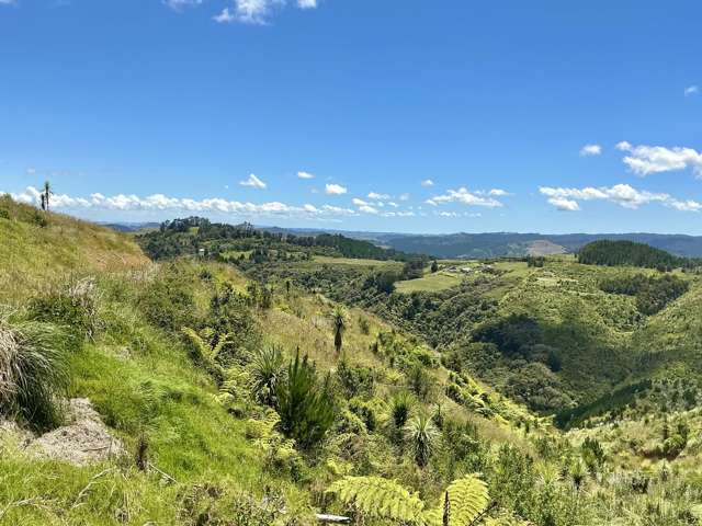 103 Dill Road Kaipara Flats_3