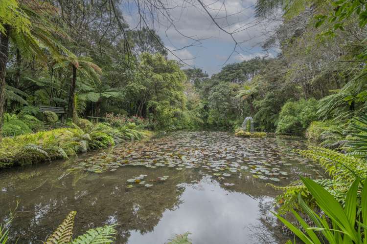586 Tapu Coroglen Road Coromandel Forest Park_7