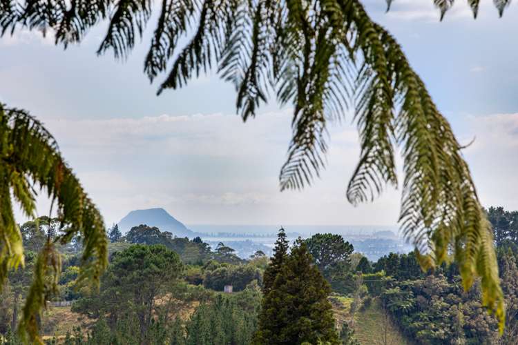 207a Peers Road Kaimai_17