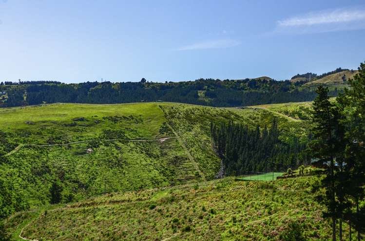 335d Worsleys Road Cracroft_17