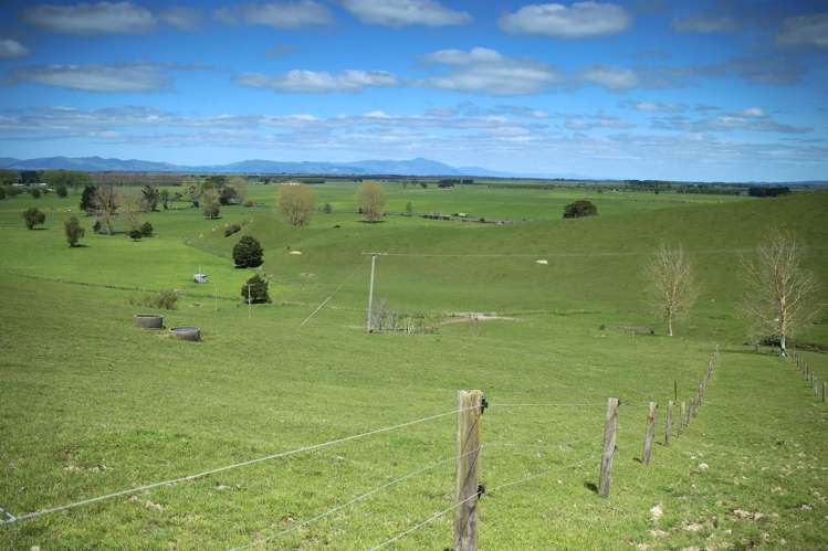 399 Mahuta Road Mangatarata_5