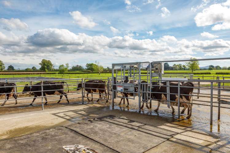 72 and 82 Harding Road Matamata_7