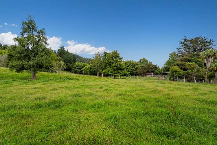 365 Mill Creek Road Whitianga_68