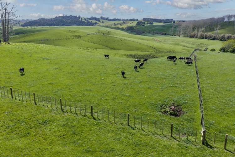 1698 Hetherington Road Huntly_1