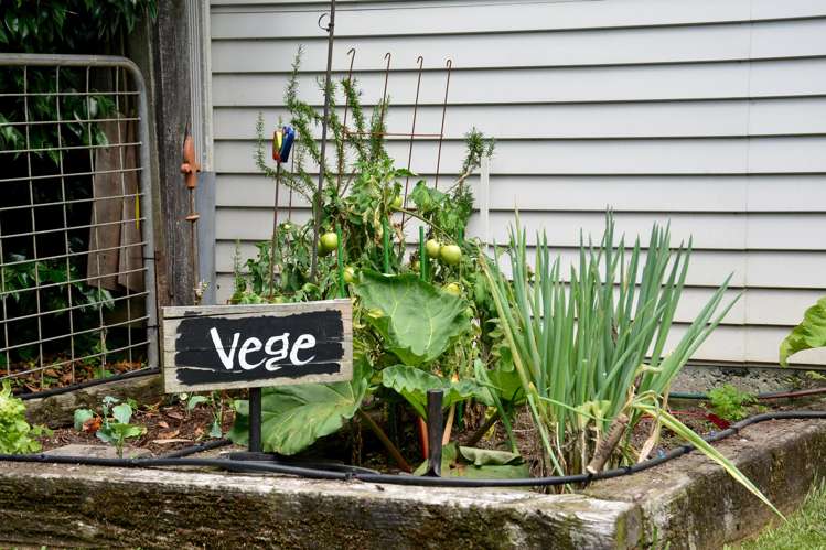 27 Alfred Street Fairfield_30