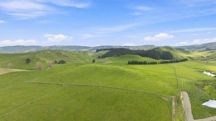 447 Pinfold Road Papatawa_10