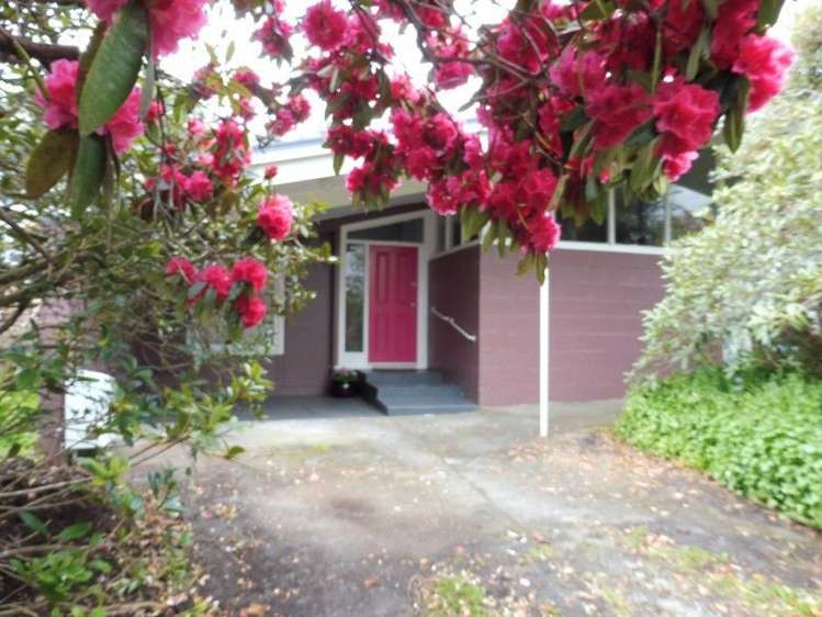 217 Regan Street Stratford_0