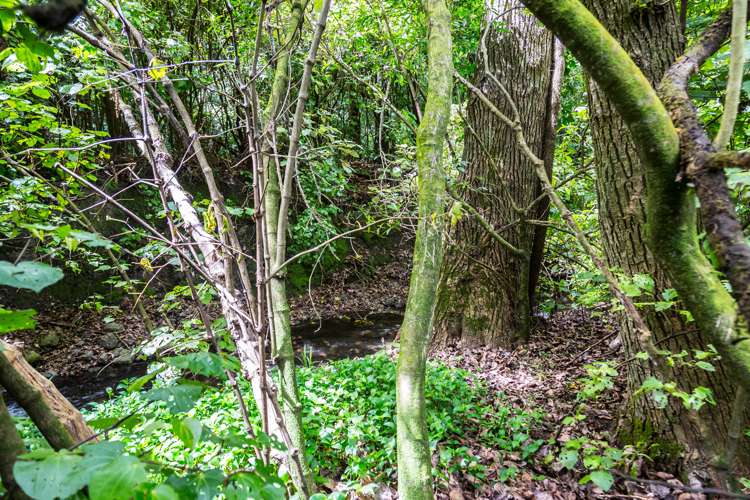 4a Kereru Grove Featherston_21