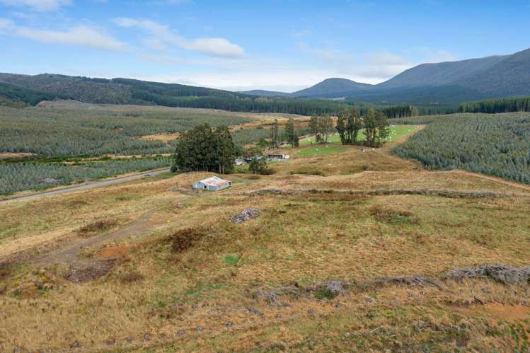 Tahakopa Valley Road Catlins Surrounds_11