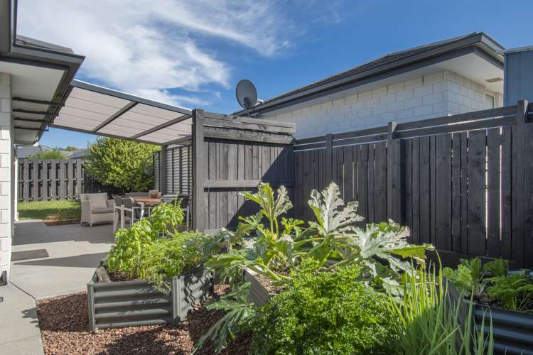 10 Long Acre Close Katikati_6