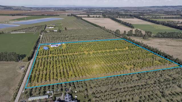 327 Georges Road Amberley_3