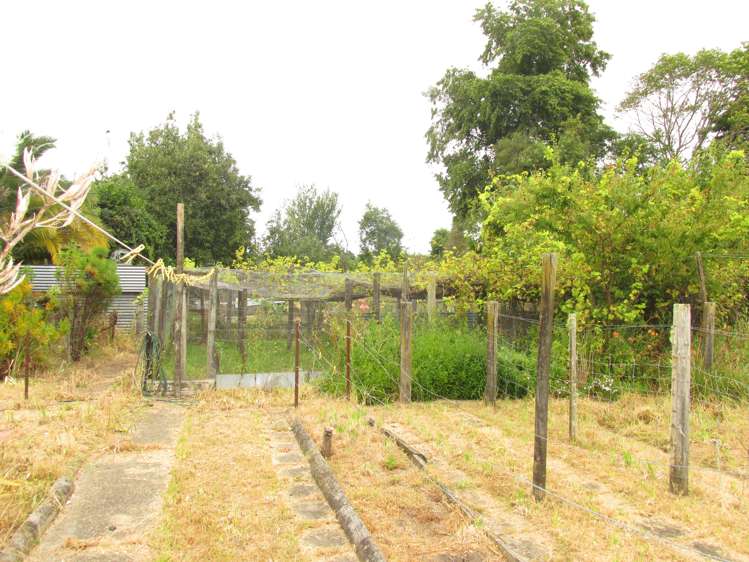 10 Humphries Street Wairoa Country_14