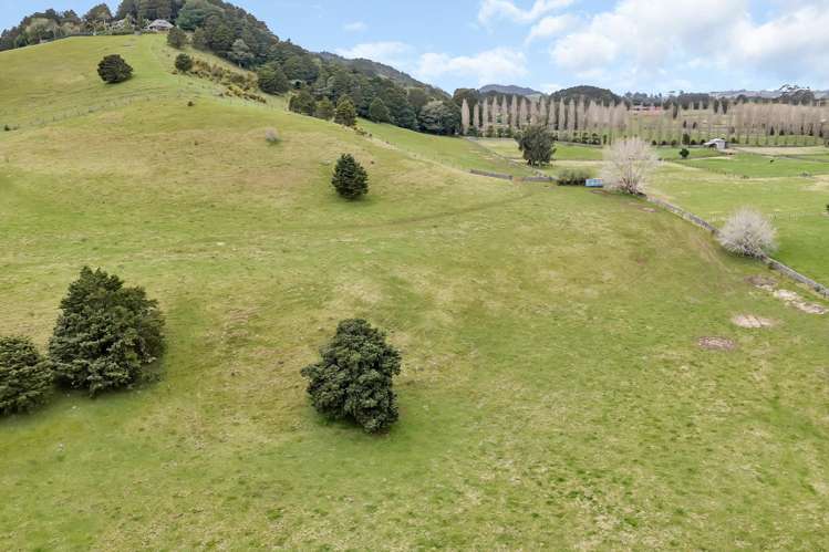 Lot 1, 106 Totara Park Lane Glenbervie_20