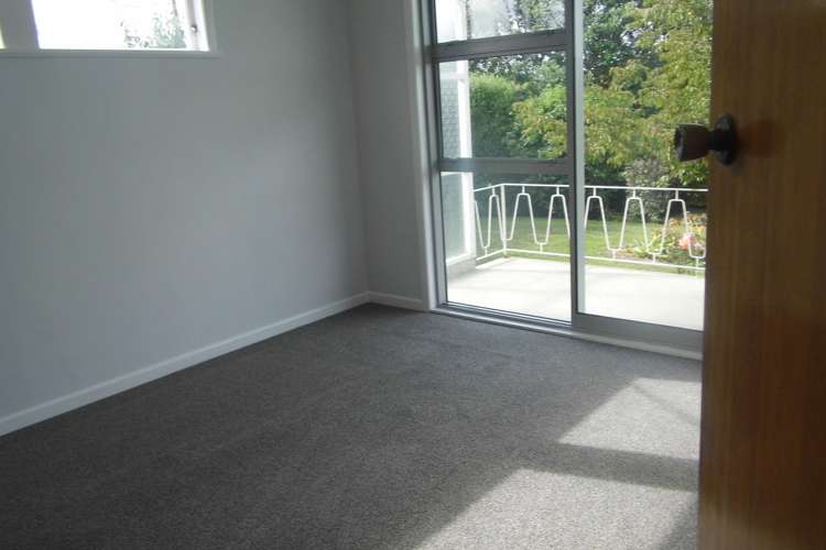 4786 Ohaupo Road Te Awamutu_8