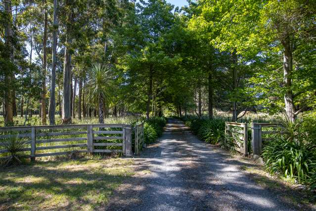 1531 Kahutara Road Kahutara_1