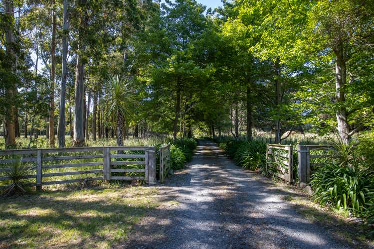 1531 Kahutara Road Kahutara_1