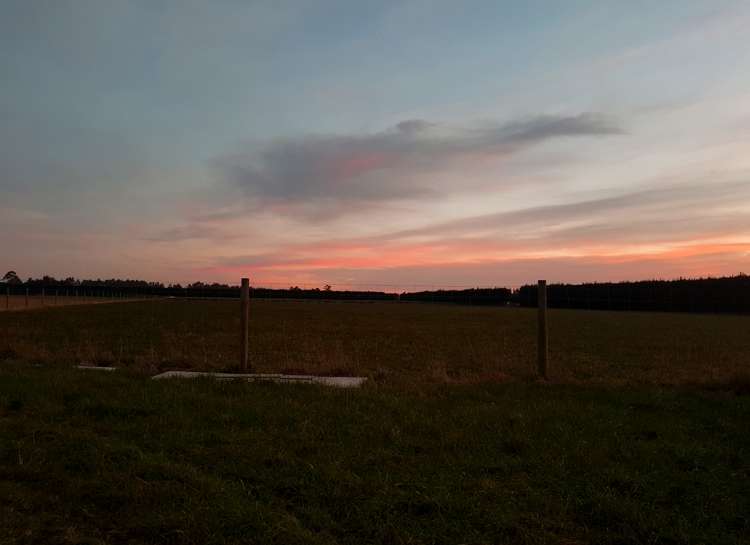 9 Killead Avenue Darfield_4