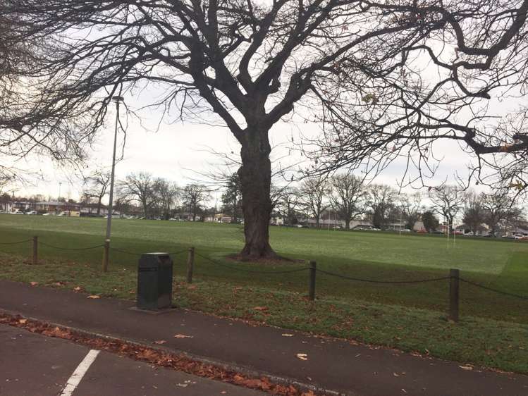 4/15 Cook Street Hamilton East_17