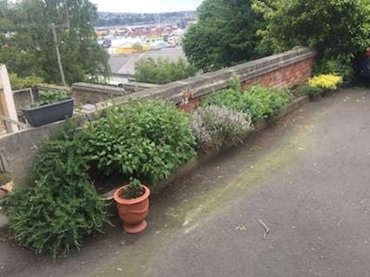 9/53 Manor Place Dunedin Central_17