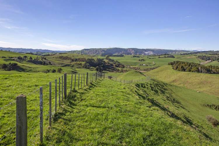 535 Maungatawhiri Road Raglan_8