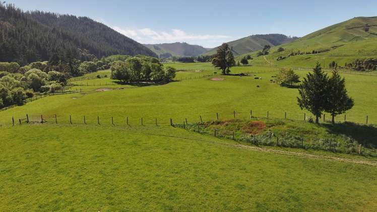 200 Upper Stanley Brook Stanley Brook_17