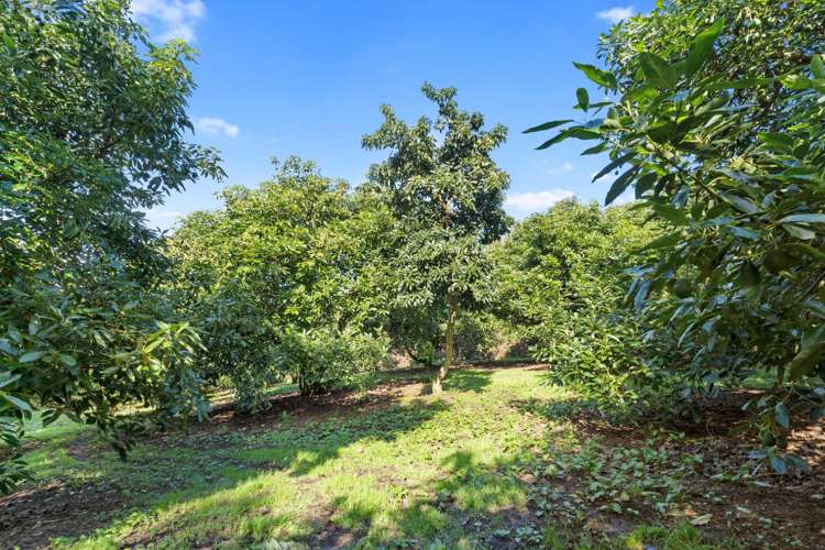 12 Timon Drive Hauraki Surrounds_10