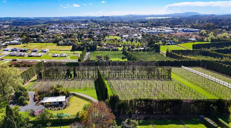 387 Kerikeri Road Kerikeri_1