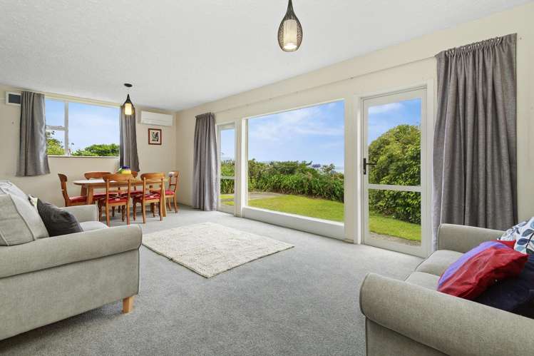 4 Pine Tree Lane Korokoro_22