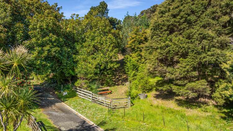 12 Patton Place Tairua_5