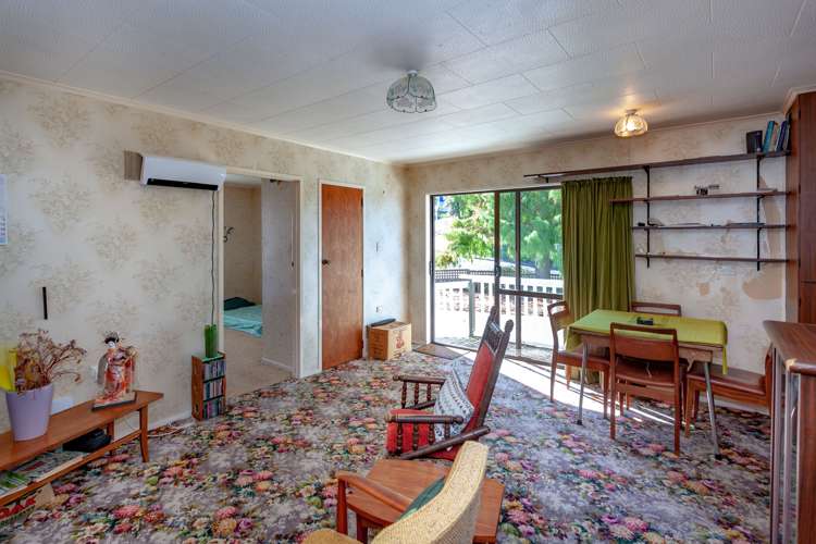 101 Hays Place Thames_19