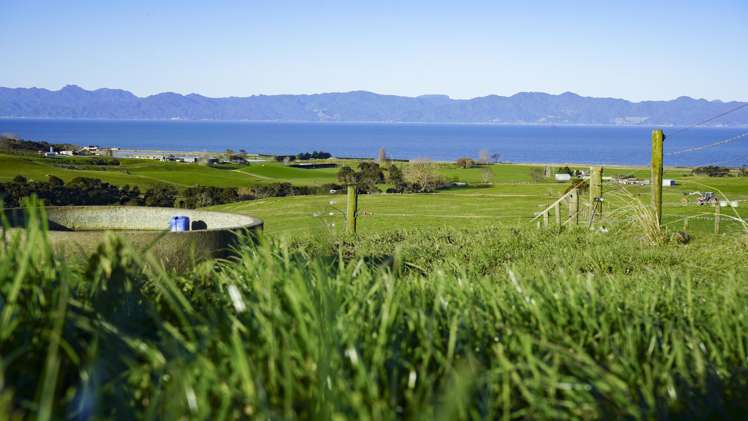1433 East Coast Road Kaiaua_3