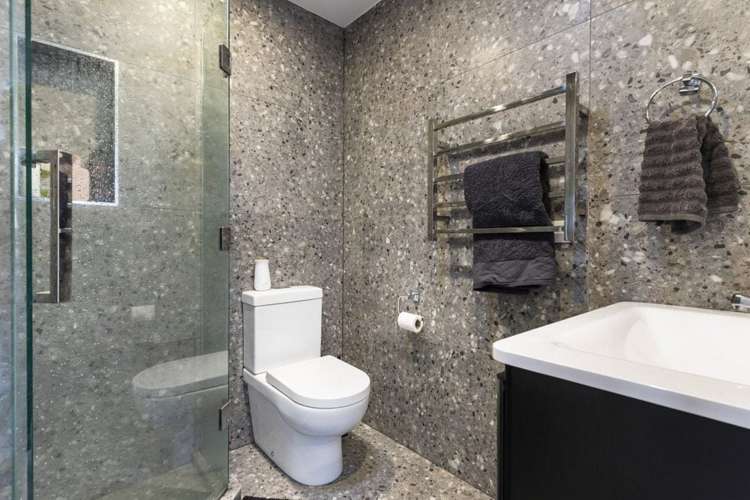 102B Selwyn Avenue Mission Bay_3