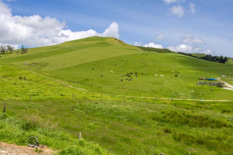 568 Tinopai Road Tinopai_38