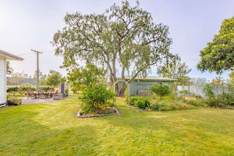 97 Matheson Road Tikokino_19