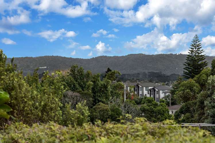 73a Awaroa Road Sunnyvale_28