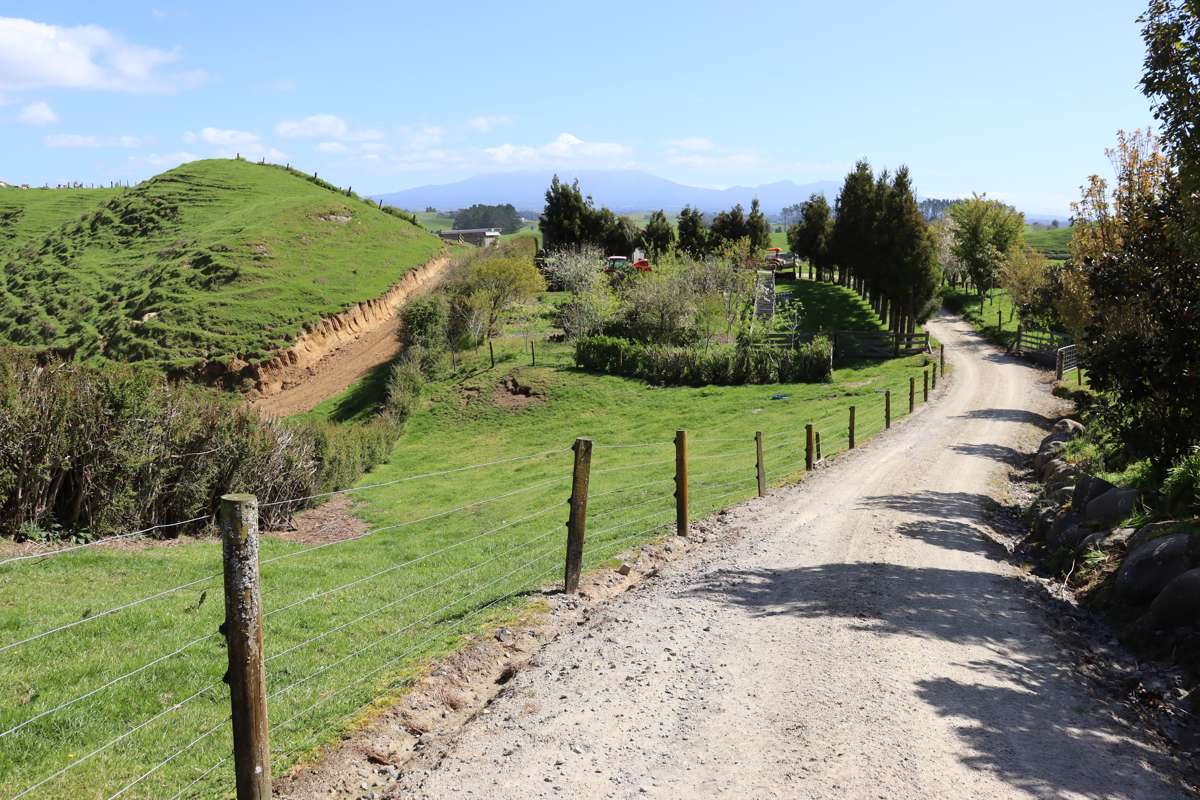 892 Tarata Road_5