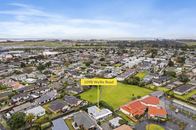 109b Wyllie Road Papatoetoe_1