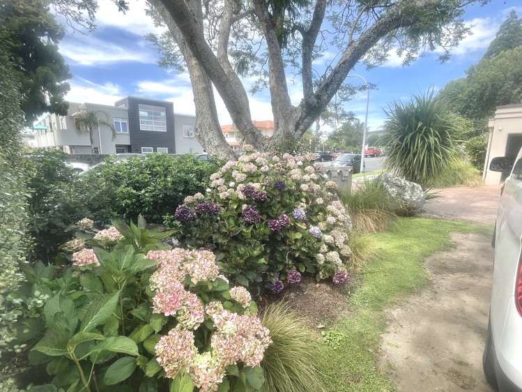 4/28 Third Avenue Tauranga Central_3