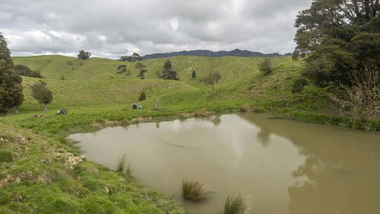 344 North Road Masterton_11