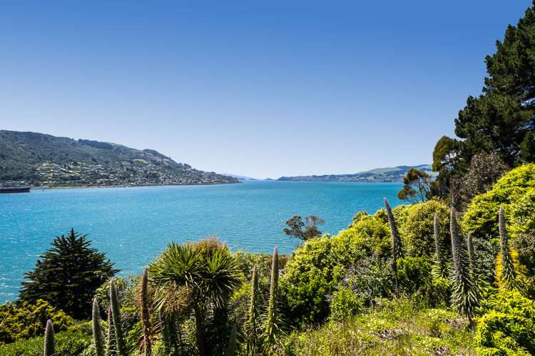 246 Portobello Road The Cove_10