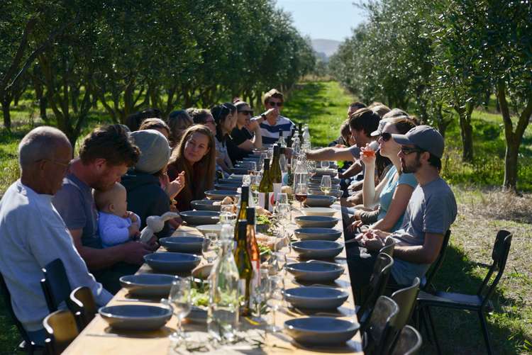 328 Georges Road Amberley_25