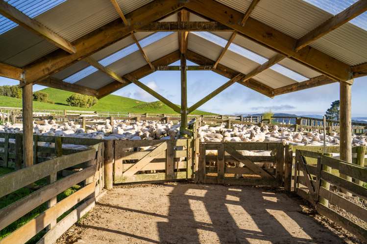 1274 Poihipi Road Oruanui_10