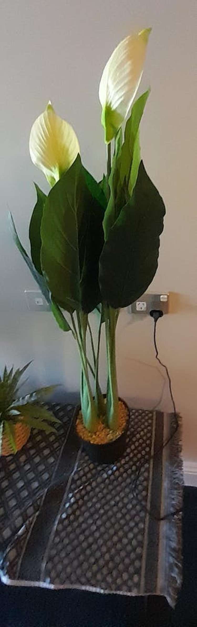 302/22 Nelson Street Auckland Central_14