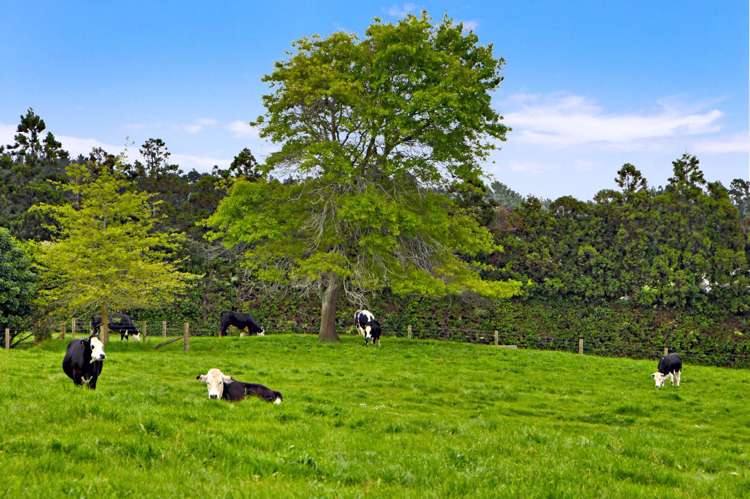 5 Homestead Hill Lane Kingseat_7